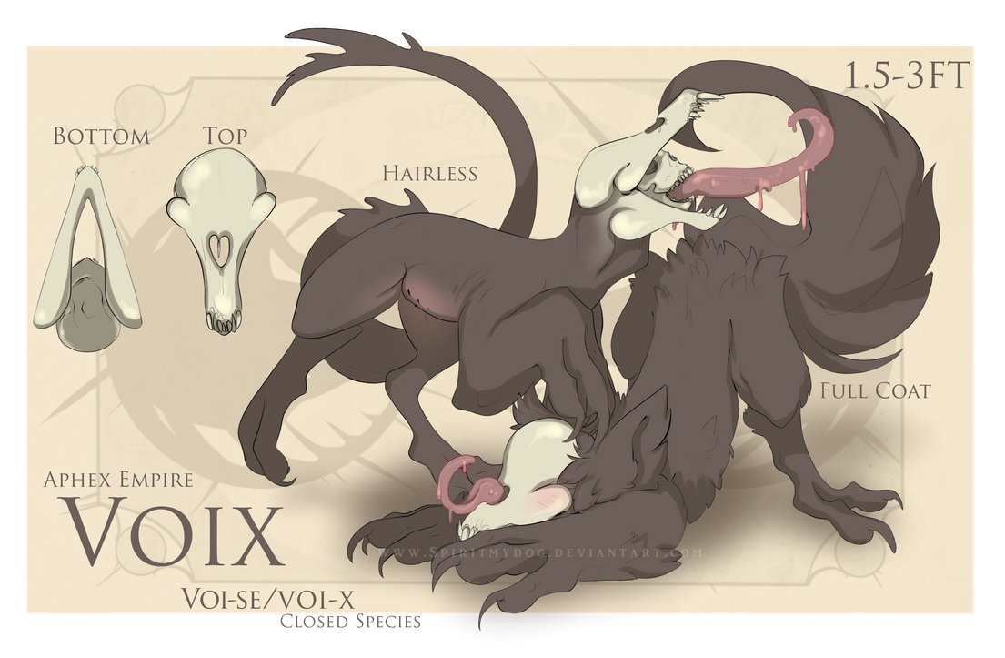 voix-open-species-by-cryptickoi-dbtmc24-pre_orig.png